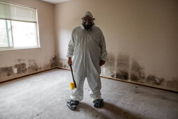 Best Mold Odor Removal Services  in White Bluff, TN